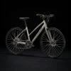 Trek Fx 1 Stagger Disc 2022