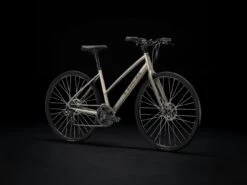 Trek Fx 1 Stagger Disc 2022