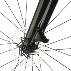 Trek Checkpoint SLR Custom Gravel Bike / Campagnolo EKAR 1 X 13-Speed / Aeolus RSL 37V Carbon Wheels / 56cm 2022 -Trek QdMy2xpSDYqctu1mWd uD9TWg