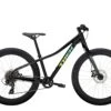 Trek Roscoe 24 2021