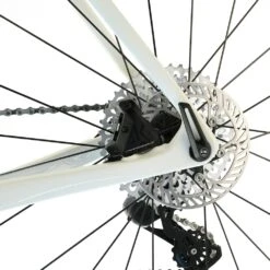 Trek Checkpoint SLR Custom Gravel Bike / Campagnolo EKAR 1 X 13-Speed / Aeolus RSL 37V Carbon Wheels / 56cm 2022 -Trek wmkvtcrt7tgiKWt4ujrvLJVms